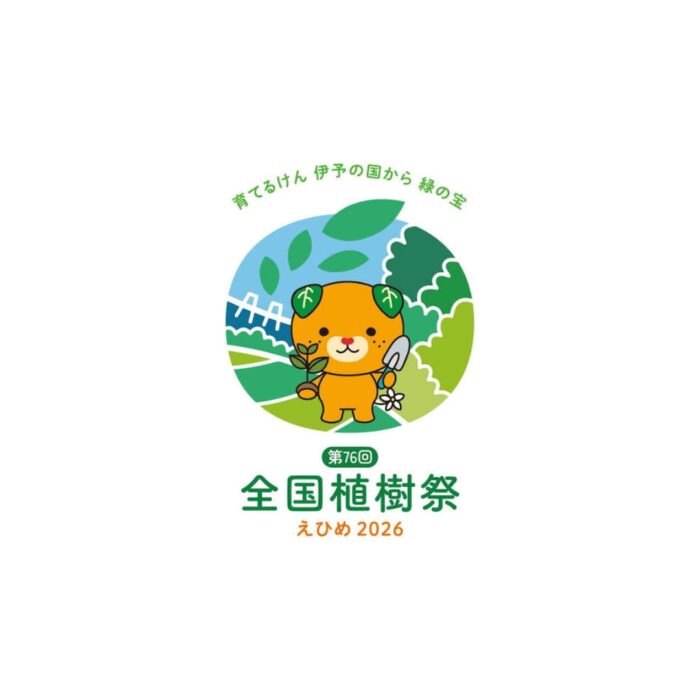実績